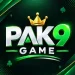 PAK9 Game
